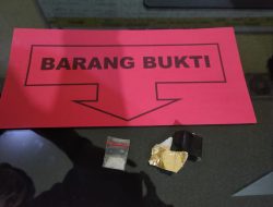 Bawa Sabu, Pria ini di Ciduk Satuan Narkoba Polres Majene