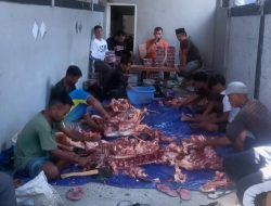 Mendapatkan Amanah, SRM Sembelih 4 Ekor Sapi