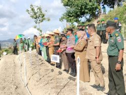 Kades Pamboborang Apresiasi Penanaman Bibit Bawang