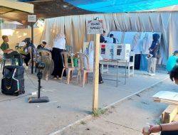 Kalma Katta Unggul Jauh Di TPS 13 Dan 24 PSU Majene
