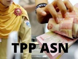 Misi AST Tak Sejalan ARB, TPP ASN Hilang Di Jalan