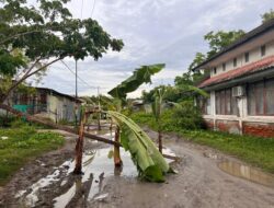 Saya Kira Warga Lutang Dukung Program Pj. Gubernur Sulbar, Ternyata!