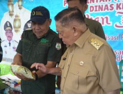 Salim: Pangan Murah Ini untuk Bantu Masyarakat Dapatkan Bahan Pokok dengan Harga Terjangkau