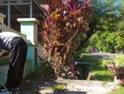Penjabat Pesuloang Implementasi Program Majene Mapaccing Melalui Desa