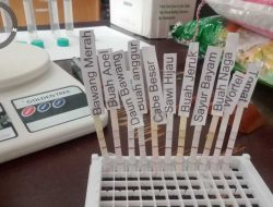 Usai Pengambilan Sampel, Distapang Sulbar: Pangan Segar Di Pasar Tradisional Polman Aman di Konsumsi