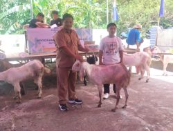 BUMDes Siasayangi Leppangan Mulai Beroperasi, Arman Nur Harap Jalin Kolaborasi Baik