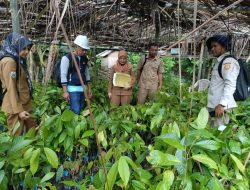Plt. Kadisbun: Kami Pastikan Petani Terima Benih Unggul yang Terseleksi dan Tersertifikasi