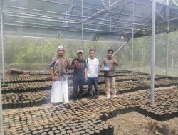 Disbun Identifikasi Kebun Masyarakat di Tiga Kabupaten