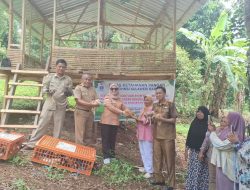 Distapang Sulbar Salurkan Bantuan Ayam KUB dan Sarana Pendukung di Kelurahan Bebanga