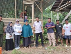 Distapang Sulbar Kembali Menyalurkan Bantuan Ayam KUB dan Sarana Pendukung di Desa Lebani