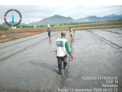 Pembukaan Irigasi Terjadwal Untuk 200 Ha Sawah di Kecamatan Tapango
