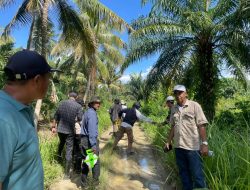 Disbun Sulbar dan Tim Ditjenbun Kementan RI Laksanakan Verifikasi Lapangan Usulan Sarpras Kelompok Tani di Mamuju Tengah