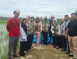 DTPHP Sulbar Siap Bantu Petani Mapilli Bangkit dari Gagal Panen