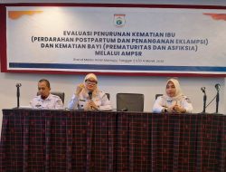 Implementasi Quick Wins Sulbar Sehat dari Penurunan AKI dan AKB