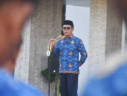 Pemprov Sulbar Komitmen Penuh untuk PPPK, Gaji 12 Bulan dan Keberlanjutan Kinerja Jadi Prioritas