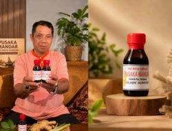 Hampir Seabad Bertahan, Minyak Pamboang Pusaka Mandar Jadi Warisan Herbal Kebanggaan Majene
