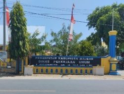 Aktivis Lingkungan Desak DPUPR Majene Surati Balai Pompenga